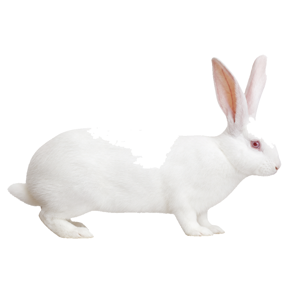 Vienés Blanco (Wiener Weiss)