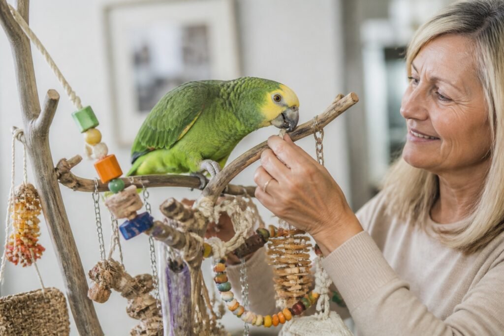 Cuidados básicos de loros